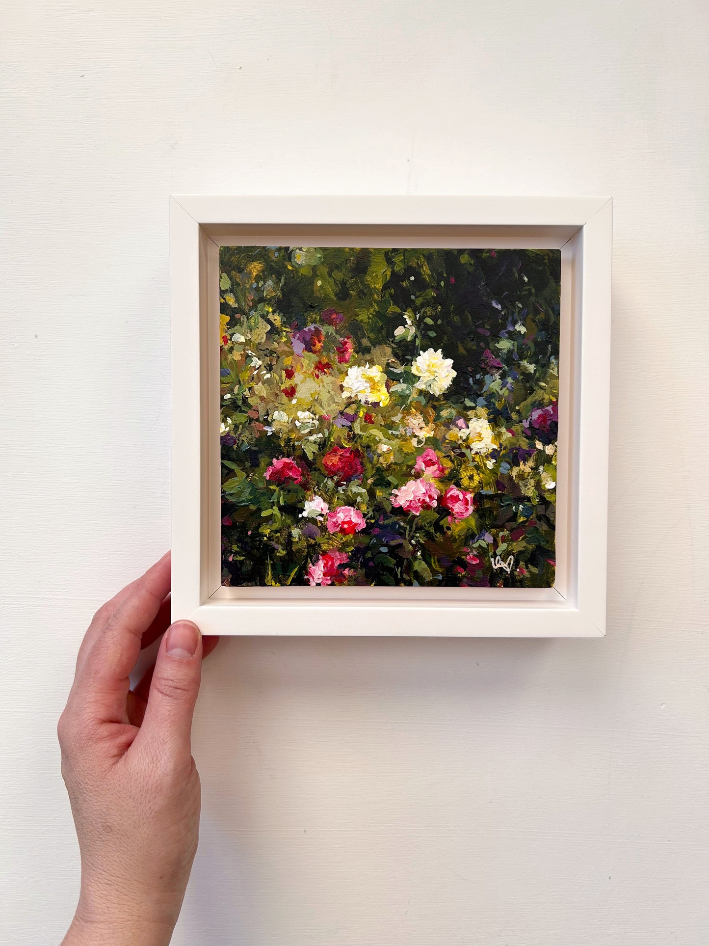 Wild Roses