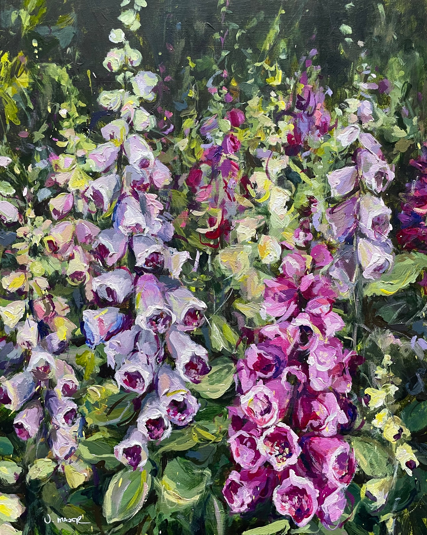 Foxgloves
