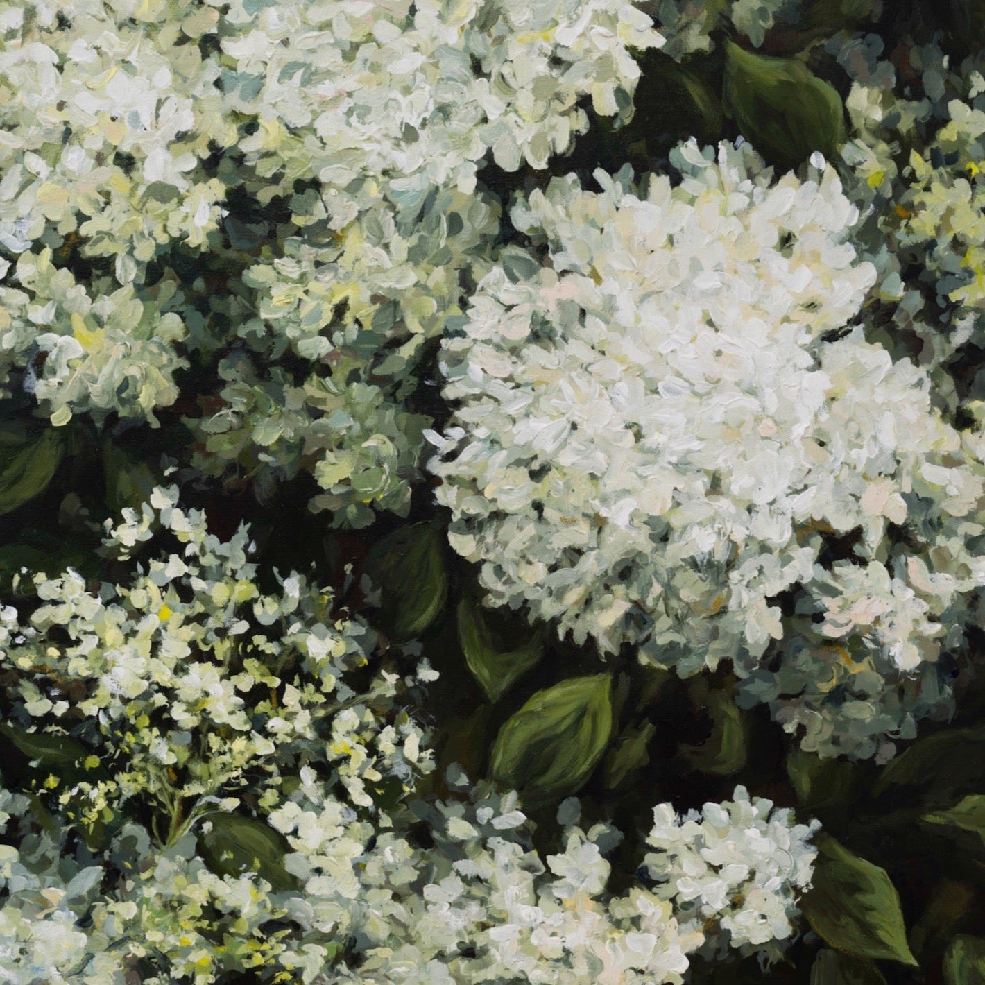 Hydrangea Meditations ~ II (Diptych)